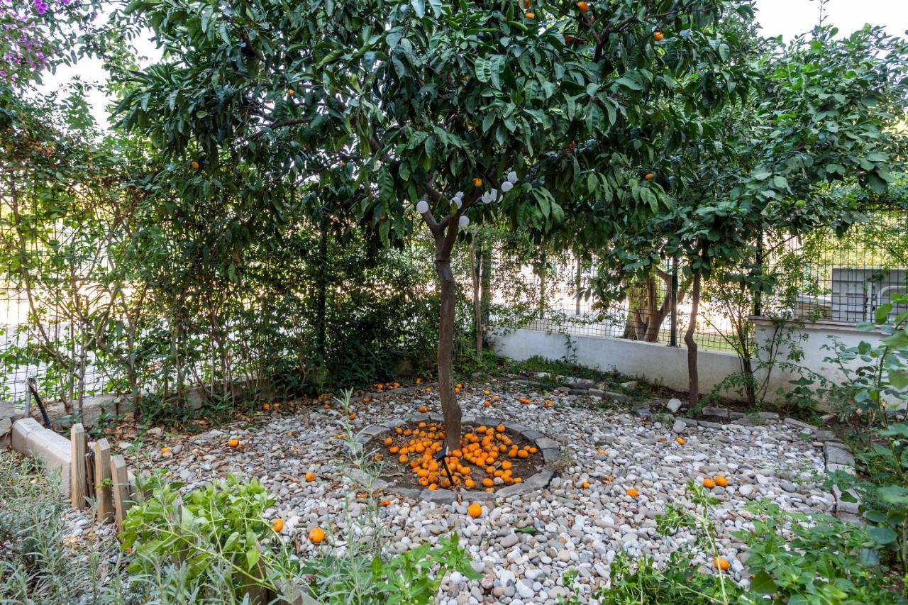 Villa Belinda ベレキ エクステリア 写真