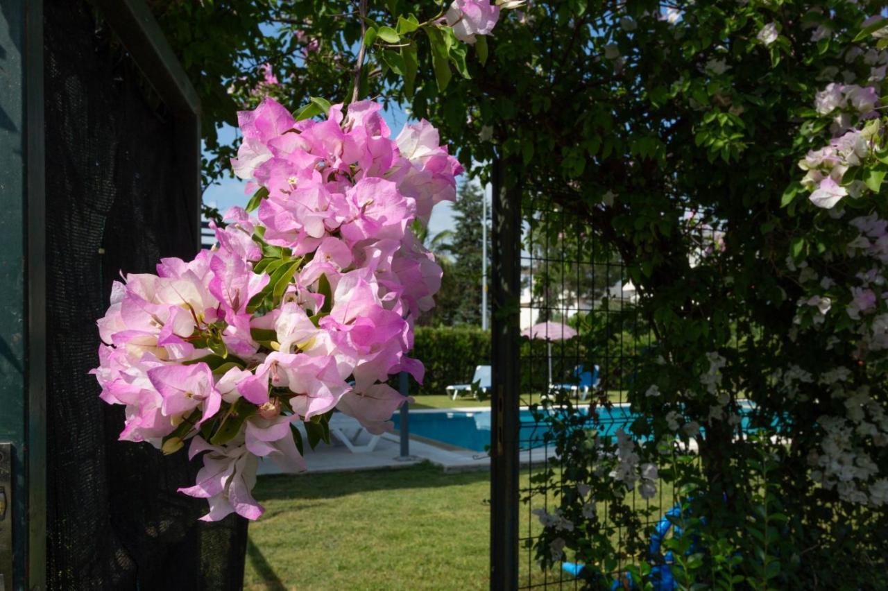 Villa Belinda ベレキ エクステリア 写真
